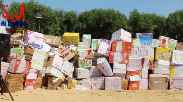 Tchad : les services des douanes présentent des saisies de produits prohibés