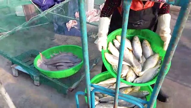 Amazing Charcoal Grilled Fish Process by Grilled Fish Master - Korean street food