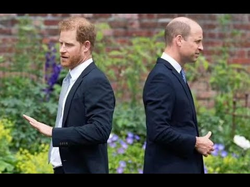 La frattura tra Harry e William avrebbe potuto essere sanata solo da una persona, afferma l'esperto