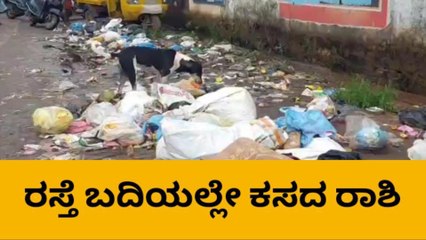 ಮಂಗಳೂರು :ತ್ಯಾಜ್ಯ ವಿಲೇವಾರಿ ಲೋಪ; ರಸ್ತೆ ಬದಿಯಲ್ಲೇ ಕಸದ ರಾಶಿ