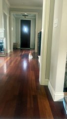 Cat Hides Kitten Under Fluff