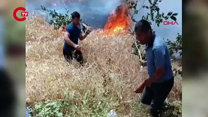 BATMAN'DA 100 DÖNÜMDE EKİLİ BUĞDAY YANDI
