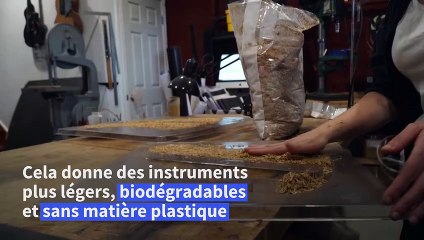 Aux Etats-Unis, une luthière française fabrique des guitares en champignon