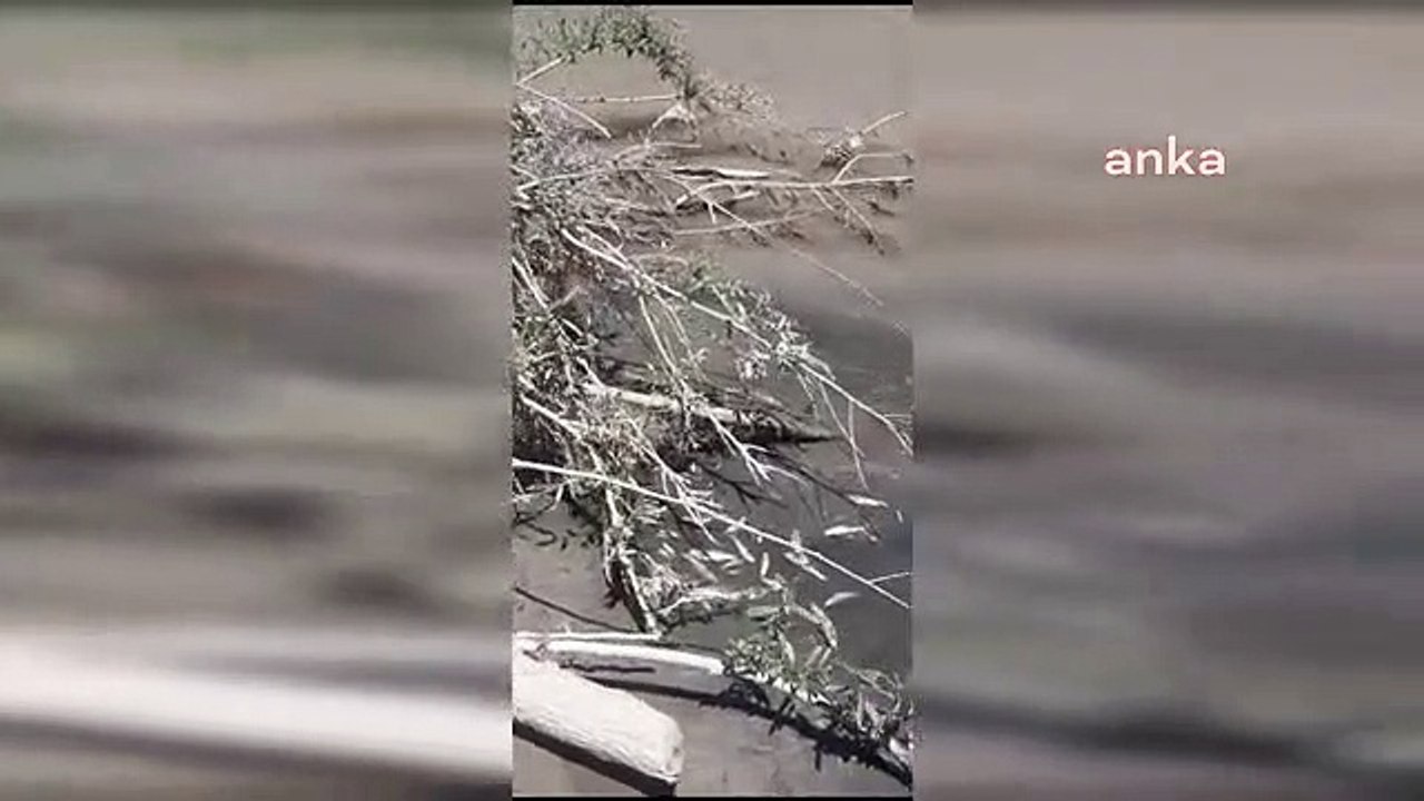 Austreten von Chemikalien aus dem Wärmekraftwerk Afşin-Elbistan in den Hurman-Strom