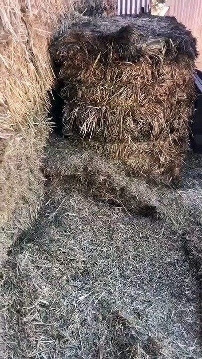 Ce qu'il découvre sous cette botte de foin est dingue