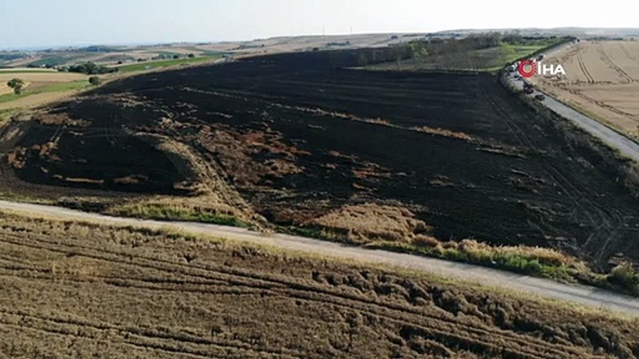200 acres de champs de blé ont pris feu à Çatalca