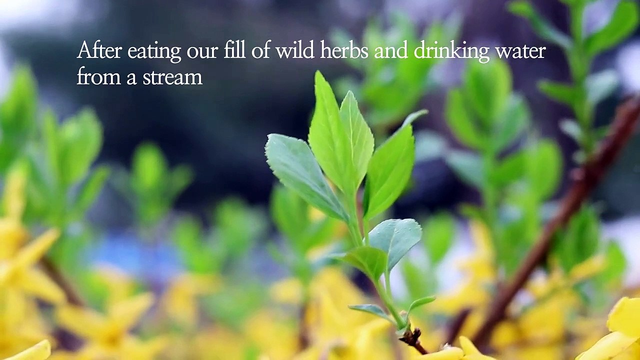 Awesome Rainy Day Meditation  I Detox I Healing I Rest for Your Soul I Detox Meditation