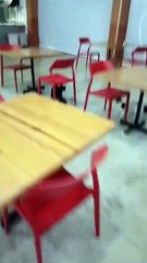 Cat Learns A Crabby Life Lesson