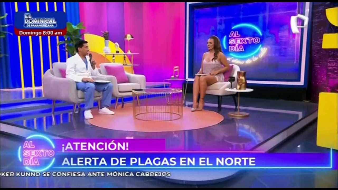 Plagas de insectos se apoderan del Norte