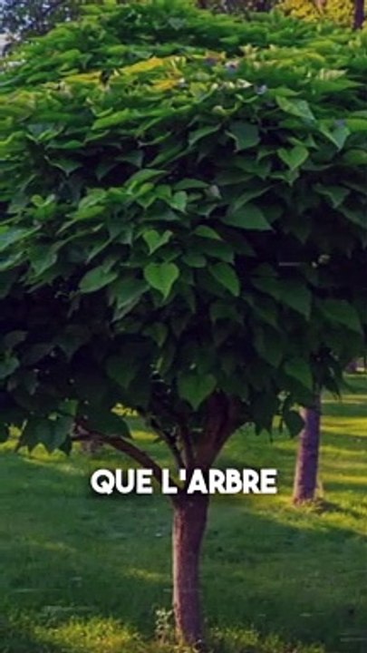 Veritbale cas de hantise ? 