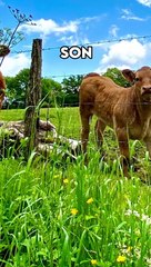 Tous les départements de France