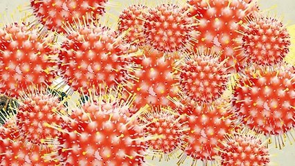 This Is Why You Shouldn’t Sell Frogs