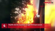 Yeşillik alanda başlayan yangın 4 binaya sıçradı