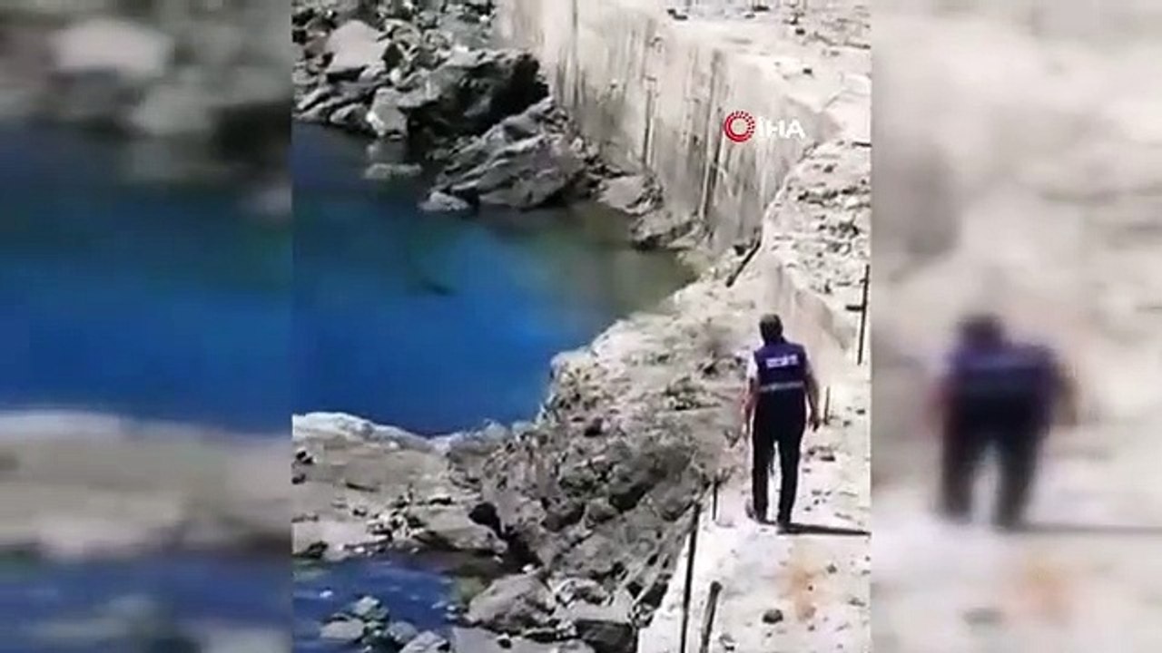 Am Ufer des Karakaya-Staudamms gestrandete Bergziegen
