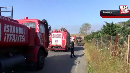 Çatalca'da 200 dönüm tarla kül oldu