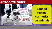 Banned testing cosmetics on animals