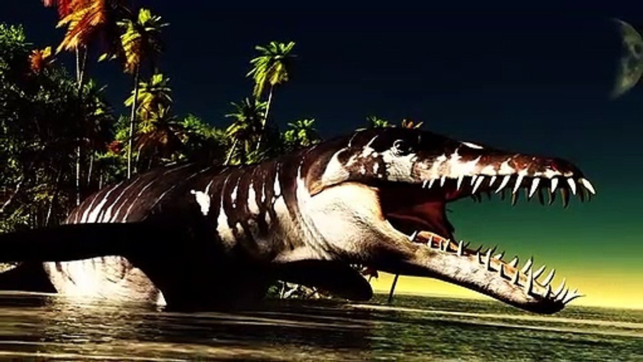 Was Passiert Mit Toten Walen