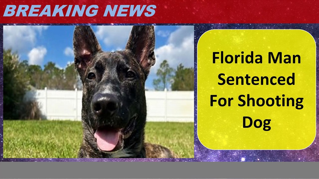 Florida Man Sentenced For Shooting Dog