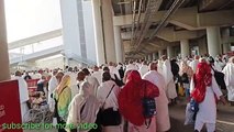 Makkah live | 2023 haji live muzdalifa se jamarat hajj live