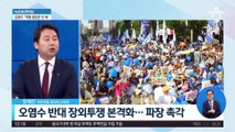 민주, 주말 도심서 ‘日 오염수 반대’ 대규모 장외투쟁