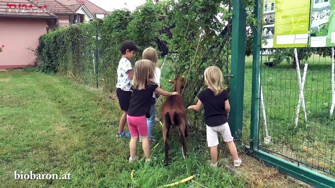 Beim BIO BARON in Münchendorf