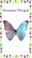 Butterflies Name | तितली के नाम | Types of Butterflies | Kids Education | Video for Kids | #shorts