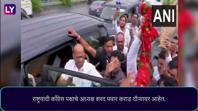 NCP Political Crisis: महाराष्ट्रात झालेल्या सत्तानाट्यानंतर राष्ट्रवादी काँग्रेस पक्षाध्यक्ष शरद पवार कराड दौऱ्यावर, यशवंतराव चव्हाण यांच्या समाधीचे घेतले दर्शन