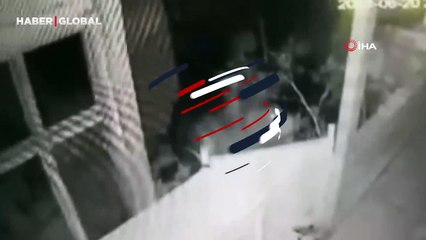 Ev sahibi hırsız sandı, kapıyı zorlayıp içeri giren ayı güldürdü