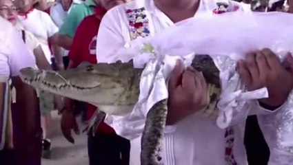 Mexico mayor marries alligator-like reptile who he calls ‘princess girl’ - for second time
