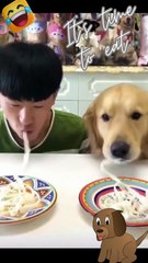 Funny act by furry friend