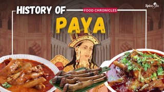 History Of Paya | Food Chronicles | Episode 22 | Spicejin