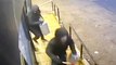 Terrifying heists caught on camera: Armed robbers assault delivery drivers and escape with £260k cash