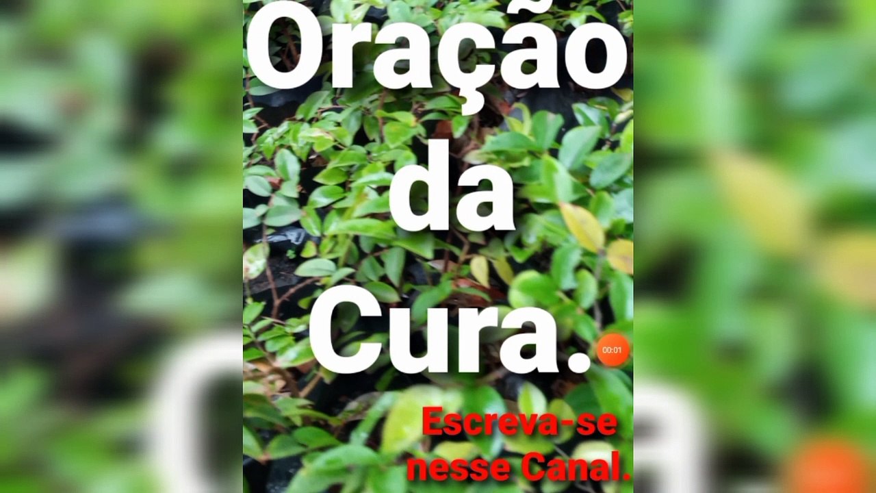 Oração da Cura. O Senhor Jesus Cristo garante a Vitória.