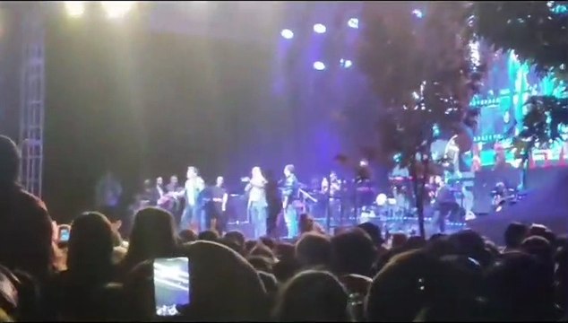 Tatvan Belediye Başkanı Geylani, belediye etkinliğinden yuhalandı