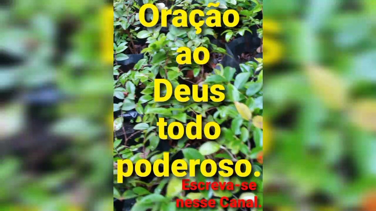 Oração ao Deus todo poderoso. O Senhor Jesus Cristo garante a Vitória.