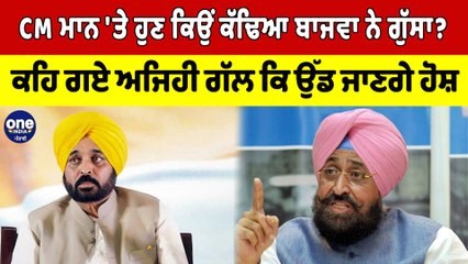 CM Mann 'ਤੇ ਹੁਣ ਕਿਉਂ ਕੱਢਿਆ Bajwa ਨੇ ਗੁੱਸਾ? ਕਹਿ ਗਏ ਅਜਿਹੀ ਗੱਲ ਕਿ ਉੱਡ ਜਾਣਗੇ ਹੋਸ਼ |OneIndia Punjabi