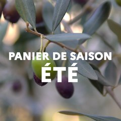 Panier de saison - Ete 2023(2)