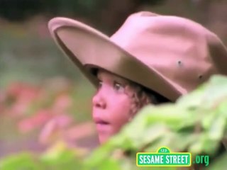 Sesame Street - Safari Letter V