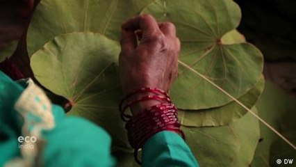 From plastic to leaves: Returning to India's green plates