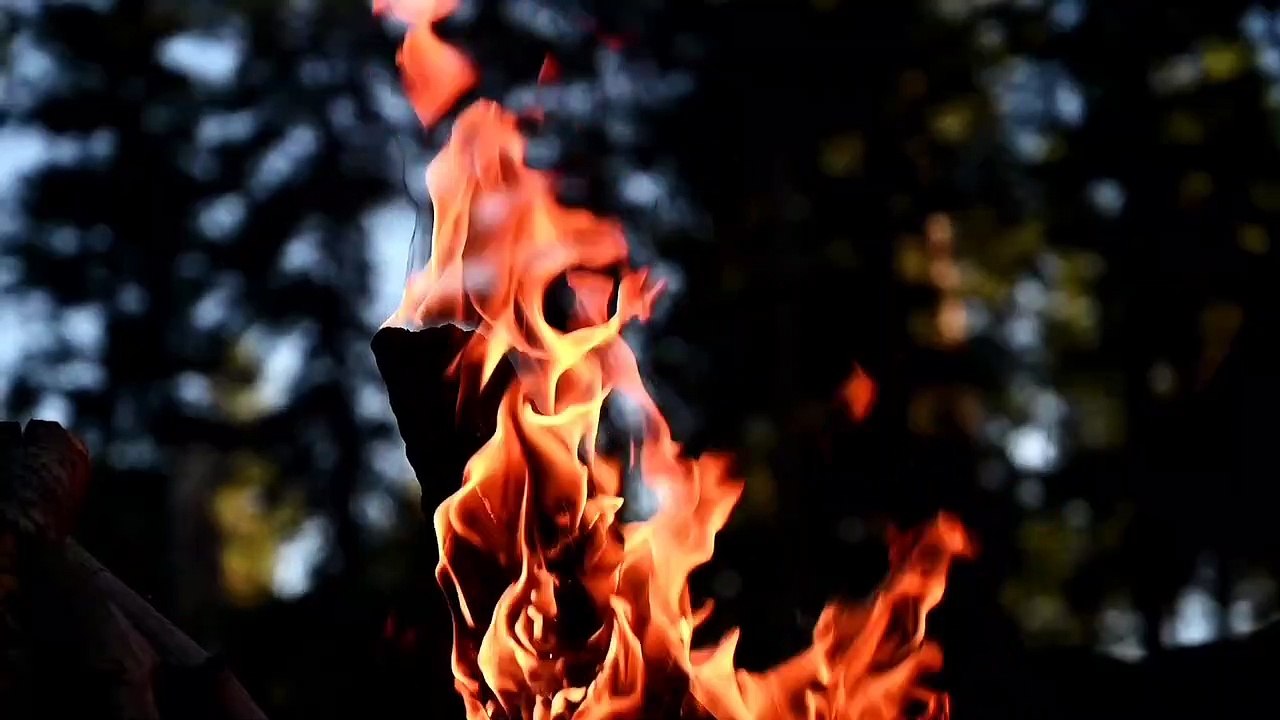 Discover the Transformative Energy of Widden Fire