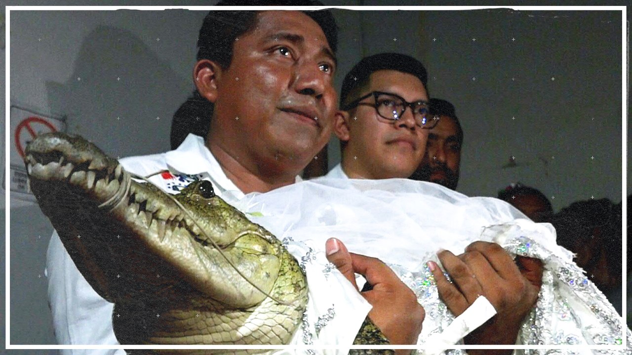 Mexikanischer Bürgermeister heiratet Krokodil