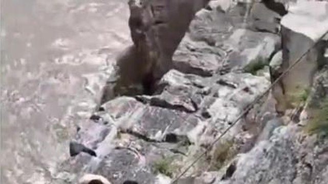 जबलपुर: सेल्फी लेने के चक्कर में छात्र 800 फीट गहरी खाई में गिरा, मौत