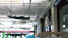 Alphabet uses lasers to deliver internet