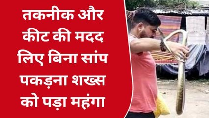 बेतूल: सांप पकड़ते समय युवक के साथ हुआ हादसा, सिर पर कर दिया हमला
