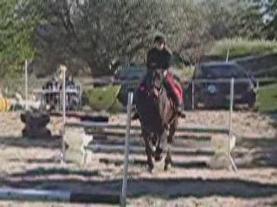 Lulu et favo en E2