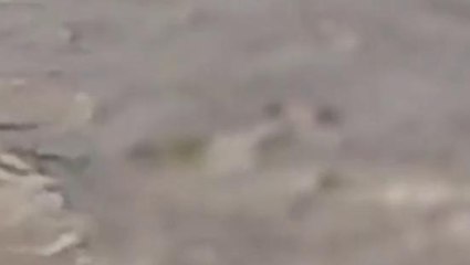 नहर में मिली अज्ञात लाश, इलाक़े में फैली सनसनी