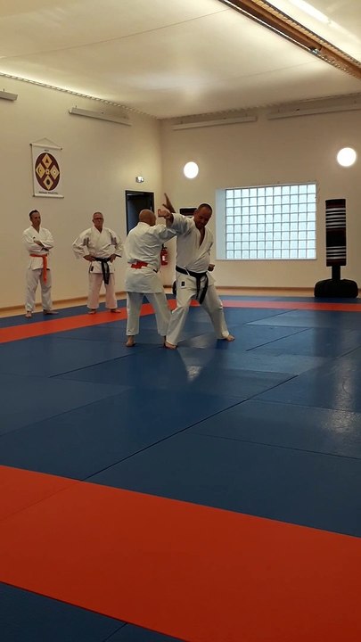 Bunkai
