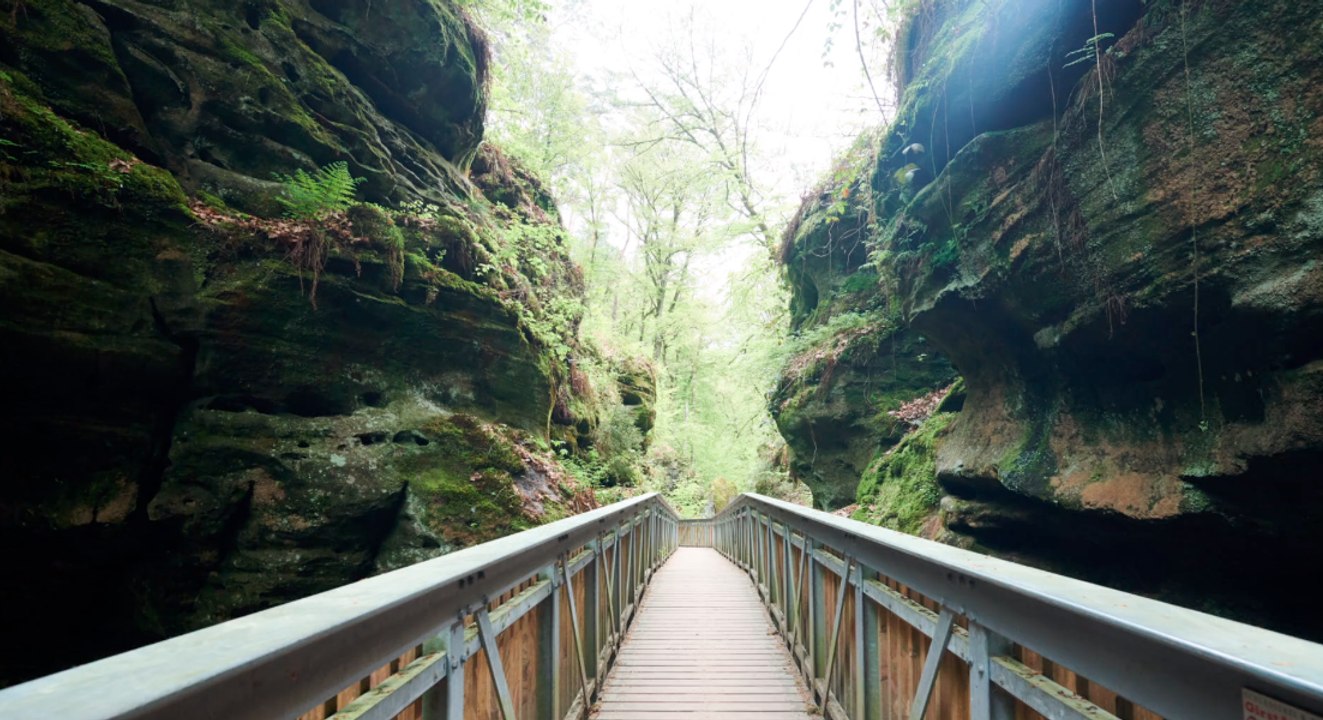 Luxemburg: Neunjähriger stirbt bei Sturz in Schlucht