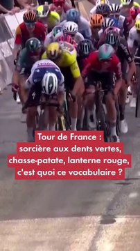 Tour de France : sorcière aux dents vertes, chasse-patate, c'est quoi ce vocabulaire ?