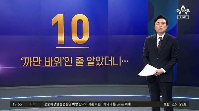 ‘까만 바위’인 줄 알았더니…버글버글 러브버그 언제까지